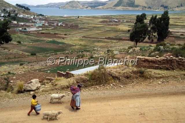 bolivie  09.JPG - PanoramaCopacabana sur les rives du lac TiticacaBolivie